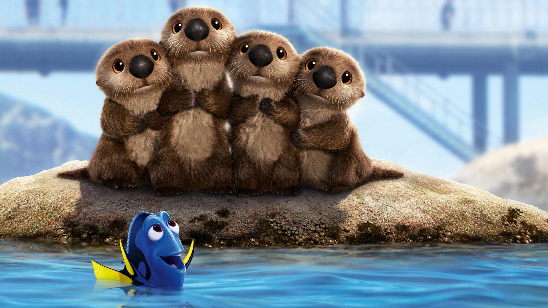 Finding dory on sale sea lion